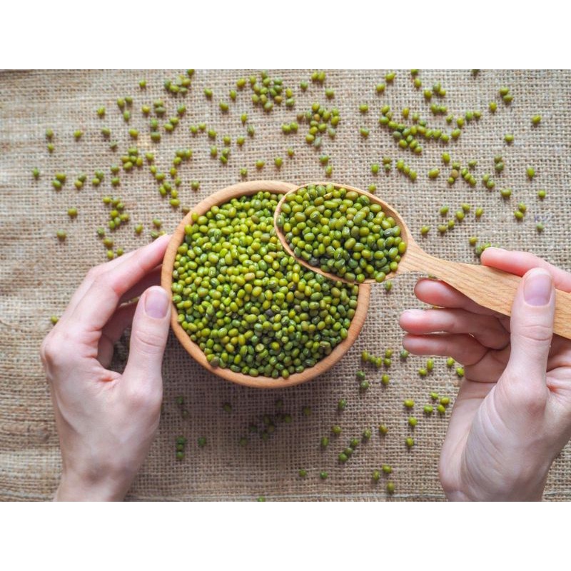

BENIH KACANG HIJAU, BIBIT KACANG HIJAU, KACANG HIJAU BERKUALITAS LARGE GREEN 500g