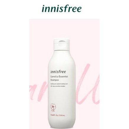 Innisfree Camellia essential shampoo 310ml