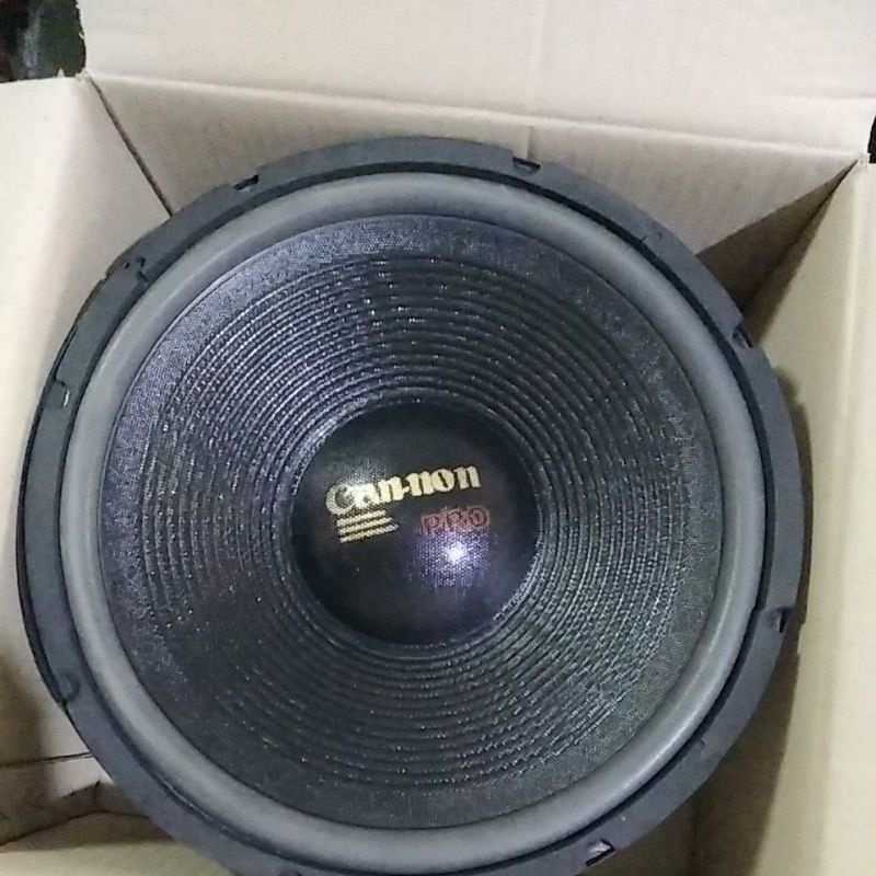 Speker 12" Canon wofer
