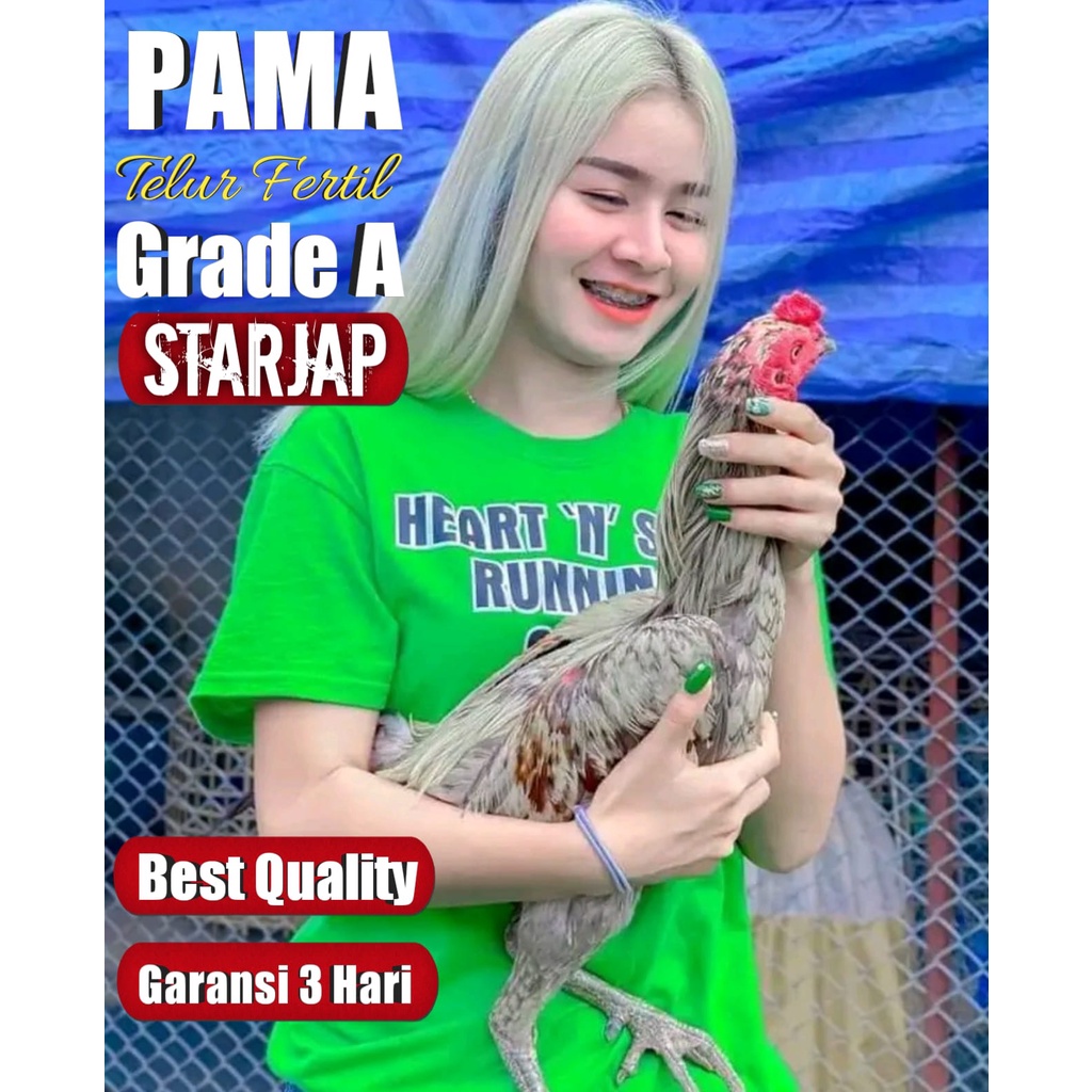 telur ayam bangkok bergaransi original thailand