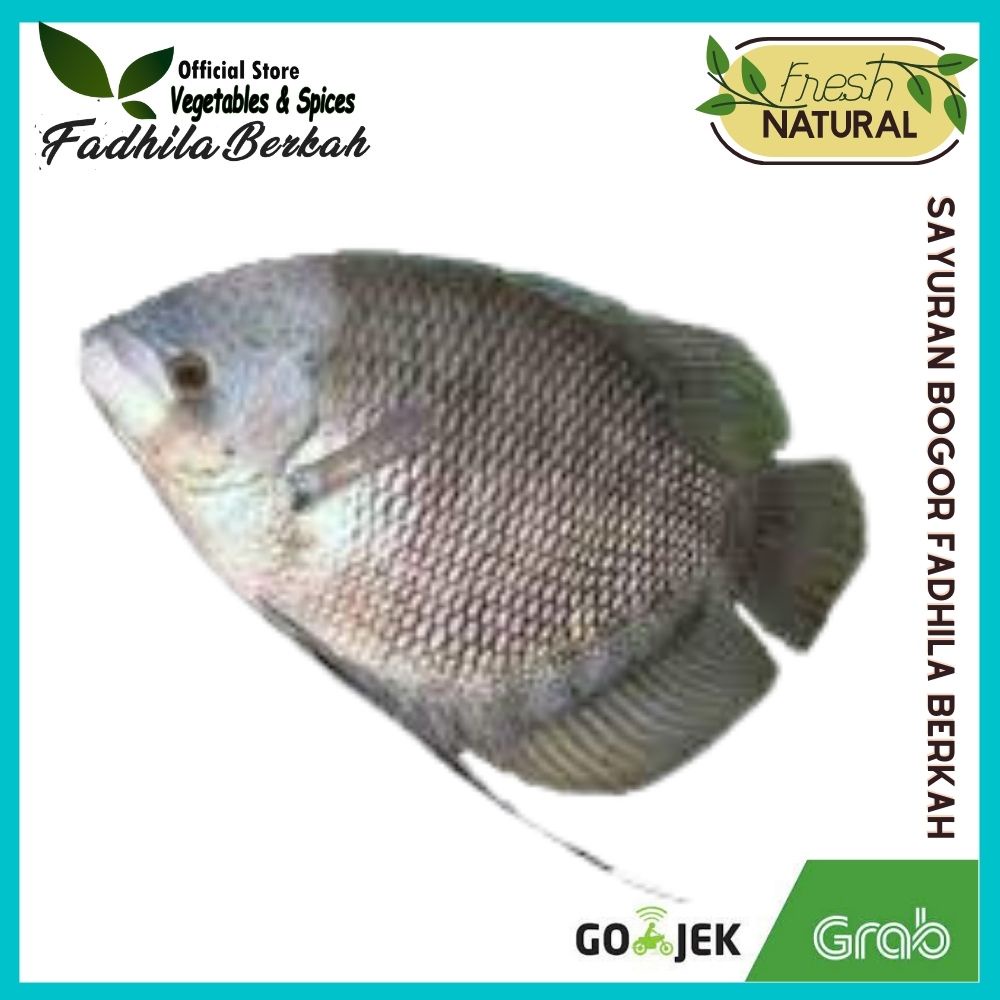 Ikan Gurame Segar  500gr | ikan segar bogor| Sayuran segar Bogor | Toko Fadhila Berkah Bogor