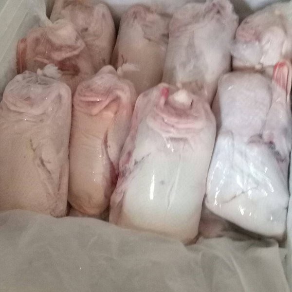 Bebek Peking Karkas Frozen Utuh ukuran 1,1kg - 1,2kg
