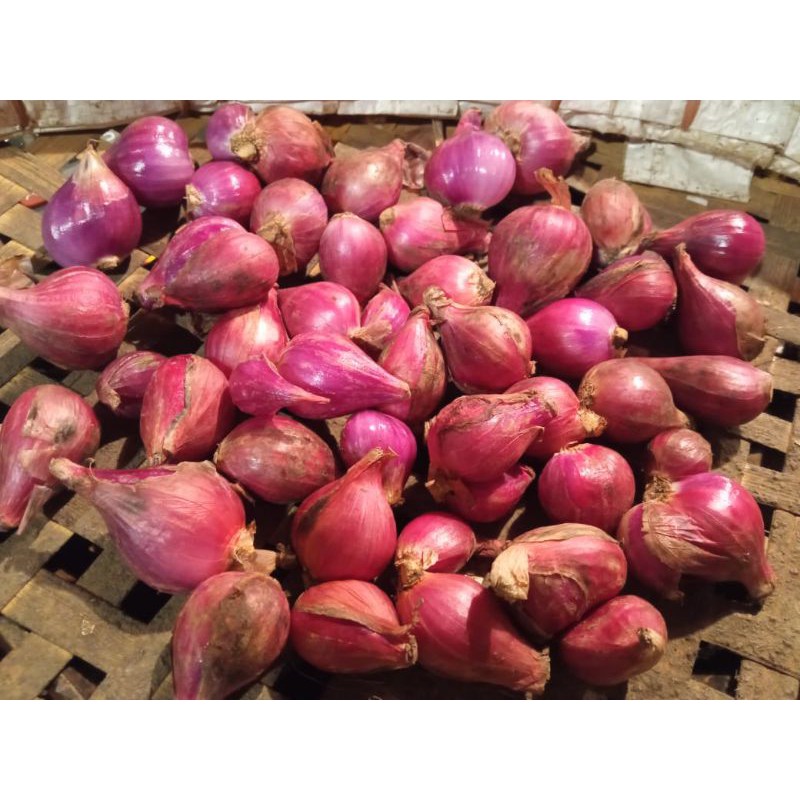 

Bawang Merah Asli Brebes