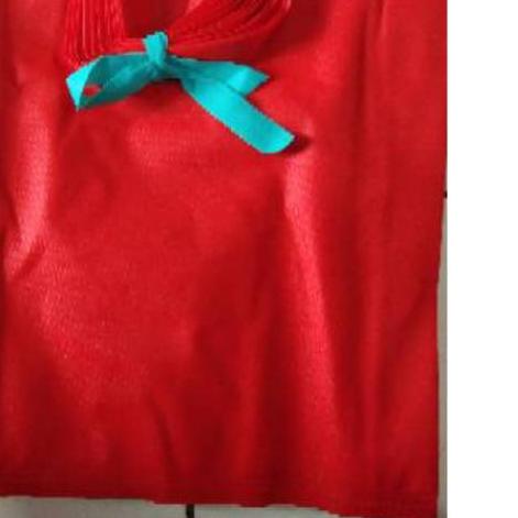 

۝ Tas spunbond Tali ukuran 38x45 ✬