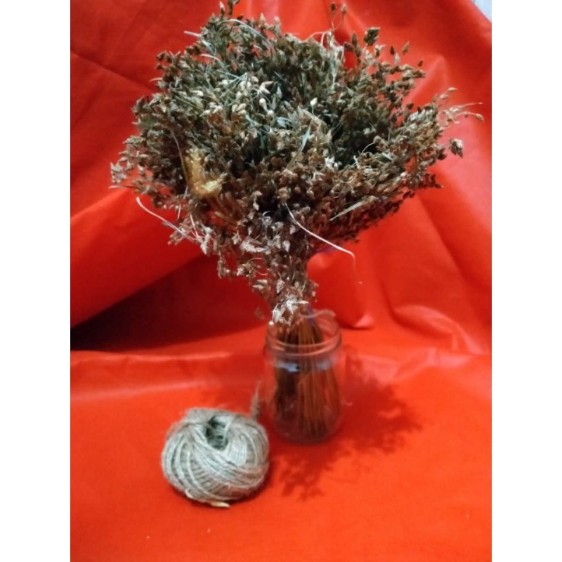 bunga kering/rumput kering/bahanseserahan