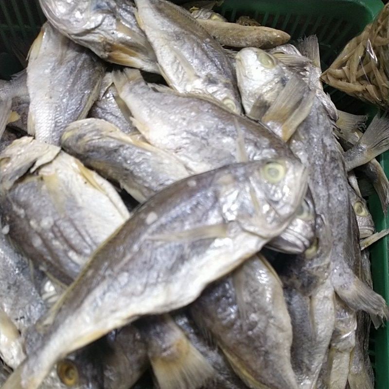 

Ikan asin kepala batu 250gr