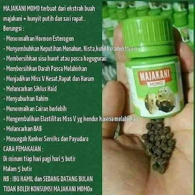 Majakani Momo jual majakani momo