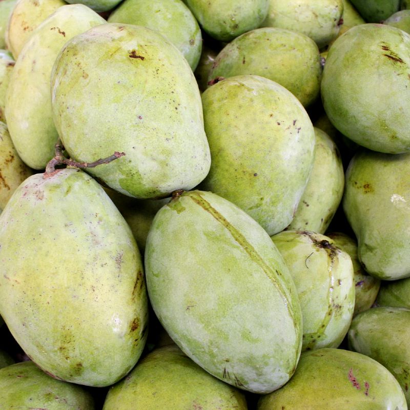 

Mangga indramayu - 1 kg