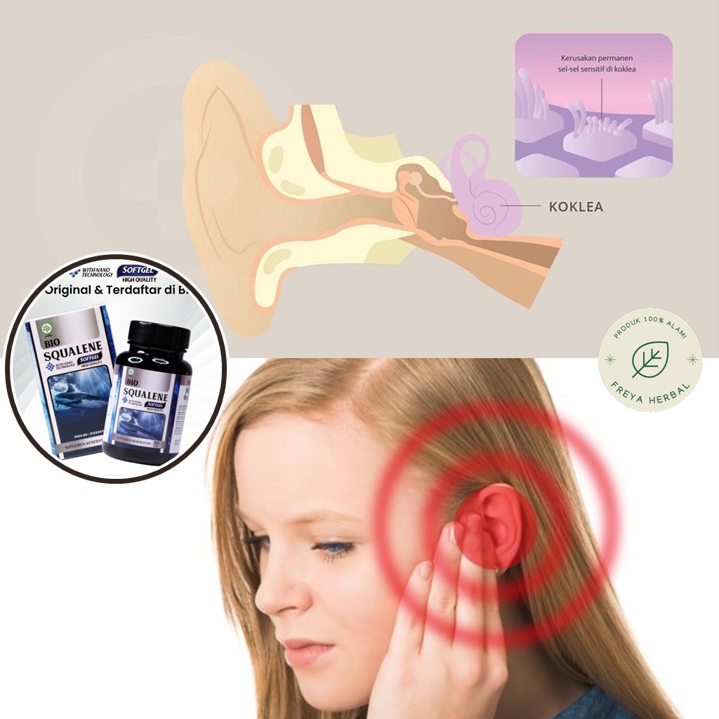 OBAT TINNITUS, OBAT TELINGA BERDENGING, OBAT HERBAL TINNITUS