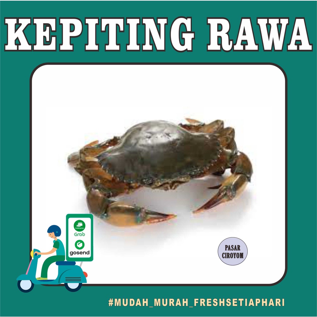 

KEPITING BAKAU / KEPITING RAWA / KEPITING DAGING FRESH MURAH BANDUNG