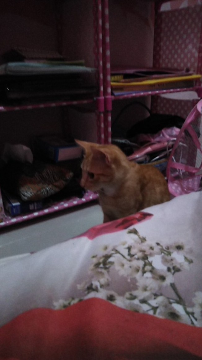 Kemeja Batik Semi Sutra Silky Premium Berfuring Lengan Panjang  Clasik Sutra Xxl  Fashion Batik Pria