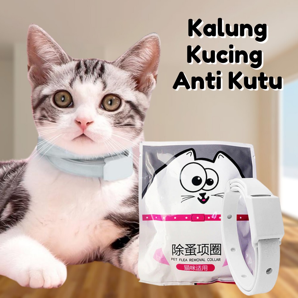 𝗢𝗥𝗜𝗚𝗜𝗡𝗔𝗟!! Kalung Kucing Anti Kutu Anti Gatal Hewan Kesayangan