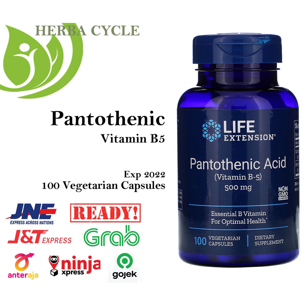 Jual Life Extension Pantothenic Acid Vitamin B5 500 Mg 100 Veg Vit B5