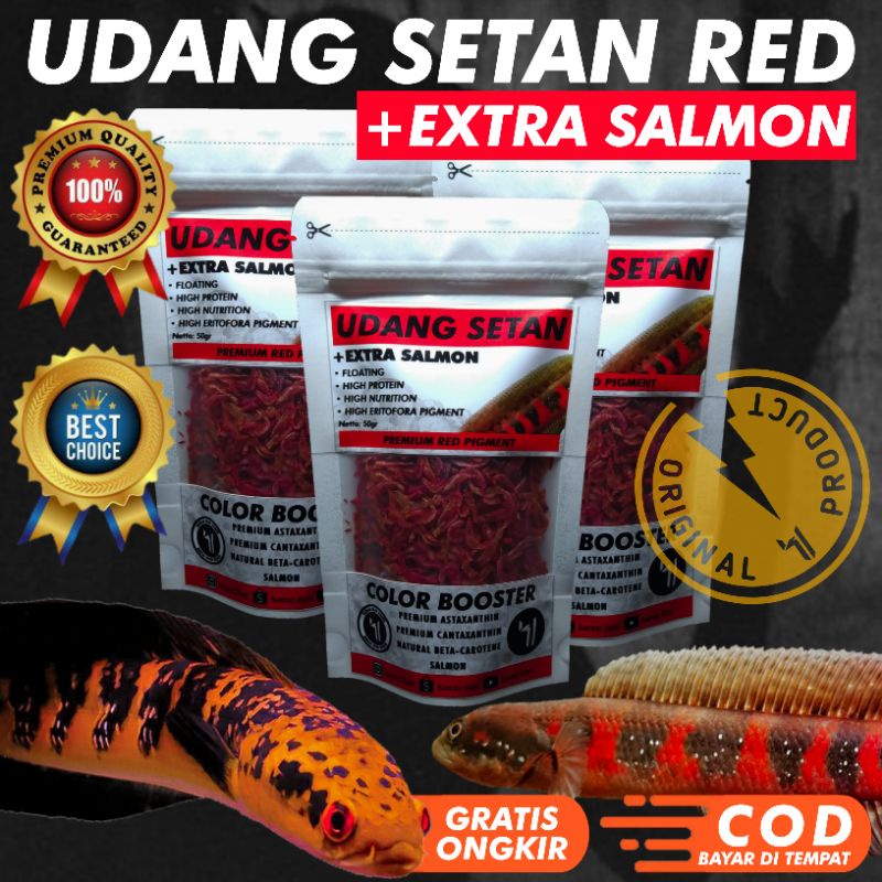 UDANG KERING SETAN RED PAKAN IKAN CHANNA