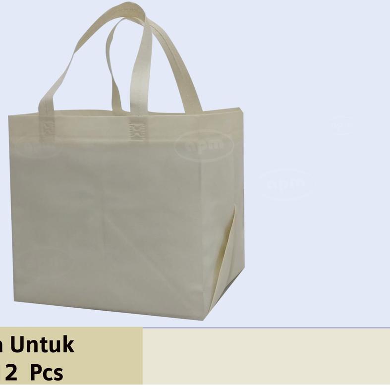 

♥ Tas Spunbond Kotak Ukuran 25cm x 25cm x25cm ☟