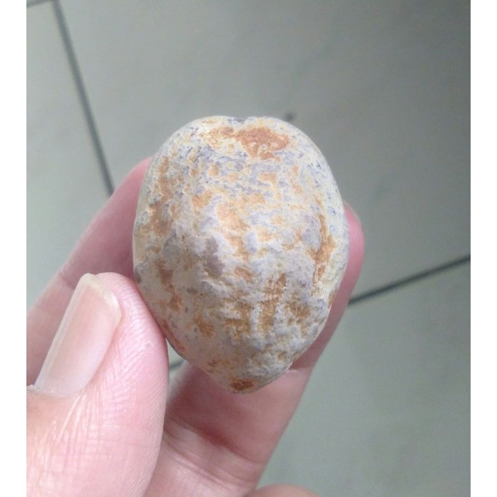 Kemiri Adu Muncang Adu Mantili Suuk Ori Tua Jatuhan