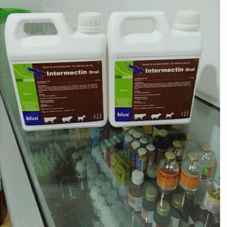Intermectin oral 1 liter obat minum scabies gudig kurap kadas kutu cacingan untuk hewan sapi kambing