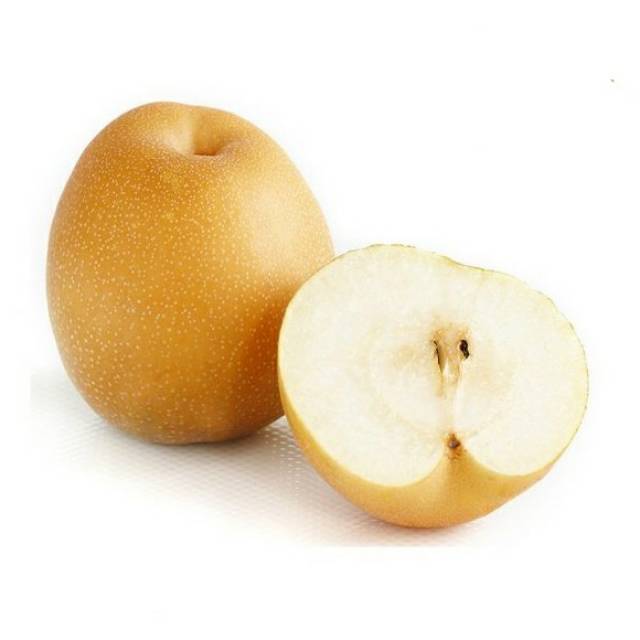 

BUAH PEAR SINGO PER KG