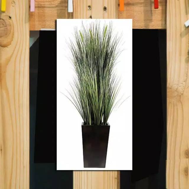 Hiasan dinding minimalis / Hiasan dinding Tanaman