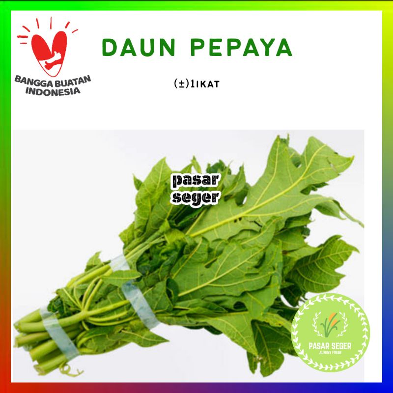 

DAUN PEPAYA JEPANG SAYUR [1 Ikat, ±200g]