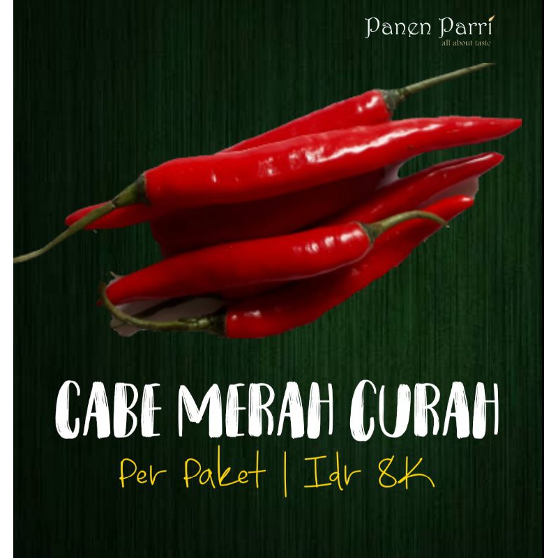 

Cabe Merah Besar