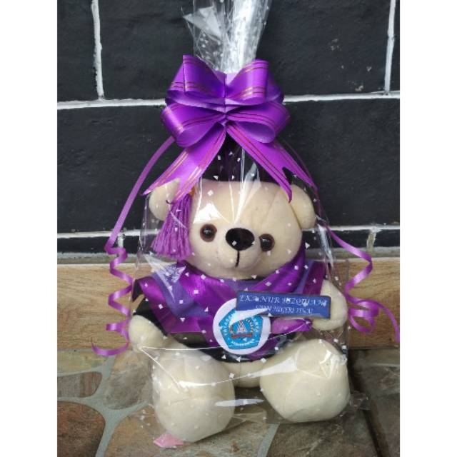 Boneka Wisuda Teddy Bear Ber Tedy Costom Kecil Mini Kado Wisuda Murah Hadiah Ulangtahun Grosir ultah