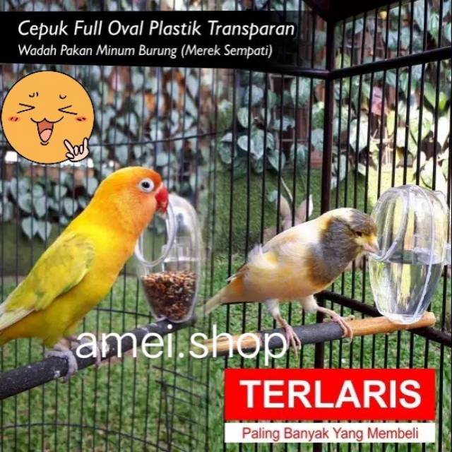 Cepuk Wadah Pakan Minum Burung Full Oval Plastik Transparan Anti Tumpah Merek Sempati Lovebird dll
