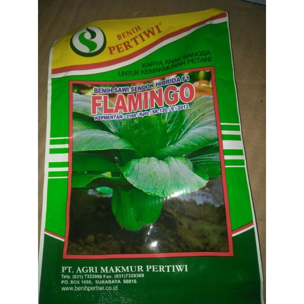 Bibit benih sawi sendok (pak coy) pertiwi"FLAMINGO"