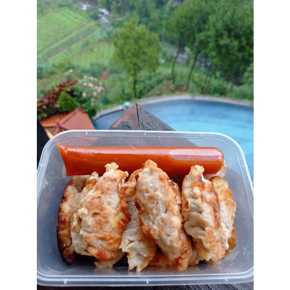 

gyoza/kwotie ayam udang