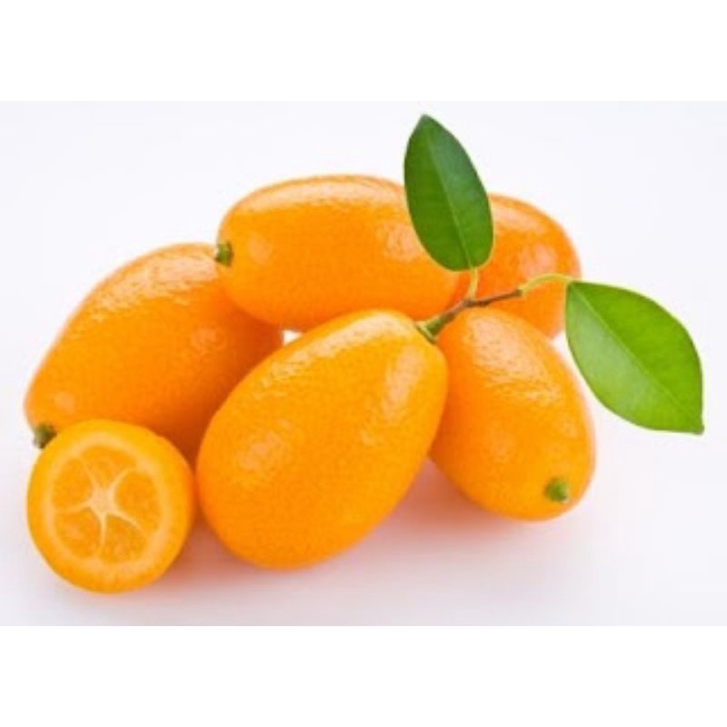 

Jeruk Kimkat Kimkiet 1 kg