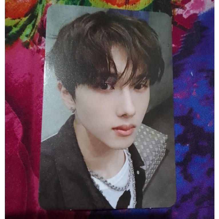 PC Photocard Official Jisung Luggage Dreaming