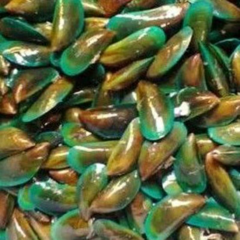 

Kerang hijau - 500 gram