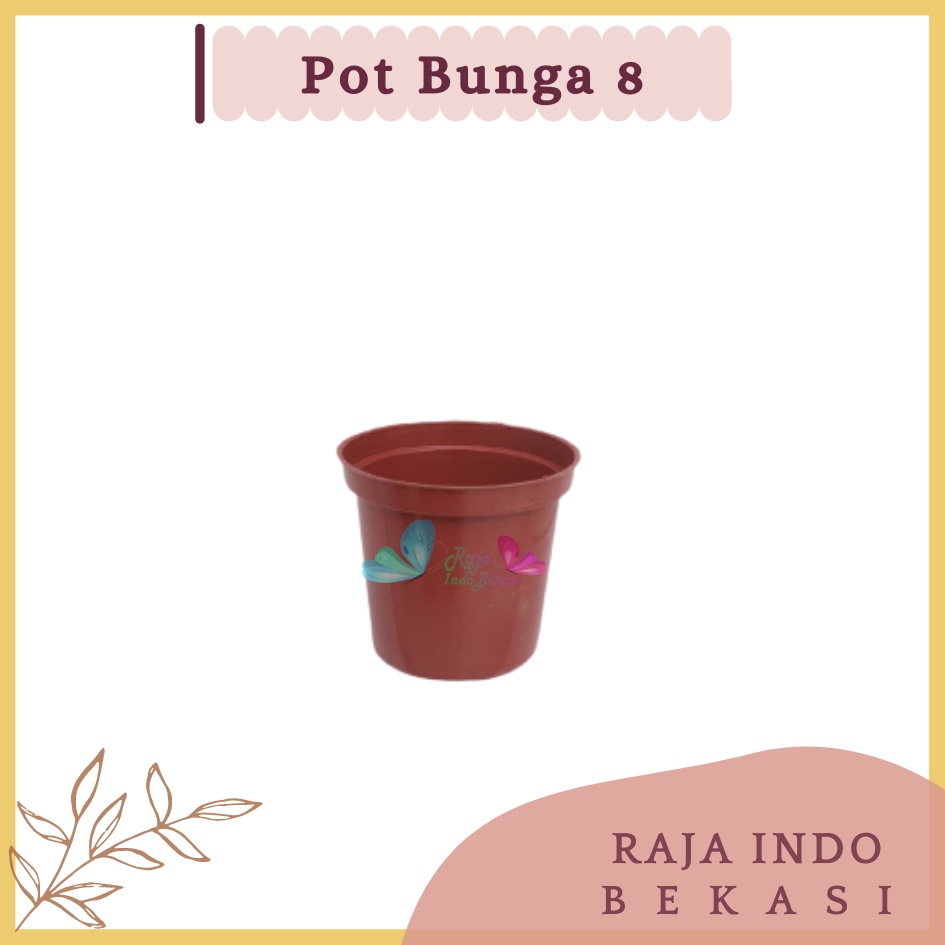 Murah Pot Bunga 8cm Merah Bata  Pt Grosir Pot Tanaman Plastik 8 Cm Pot Kaktus 8CM Coklat Sekulen