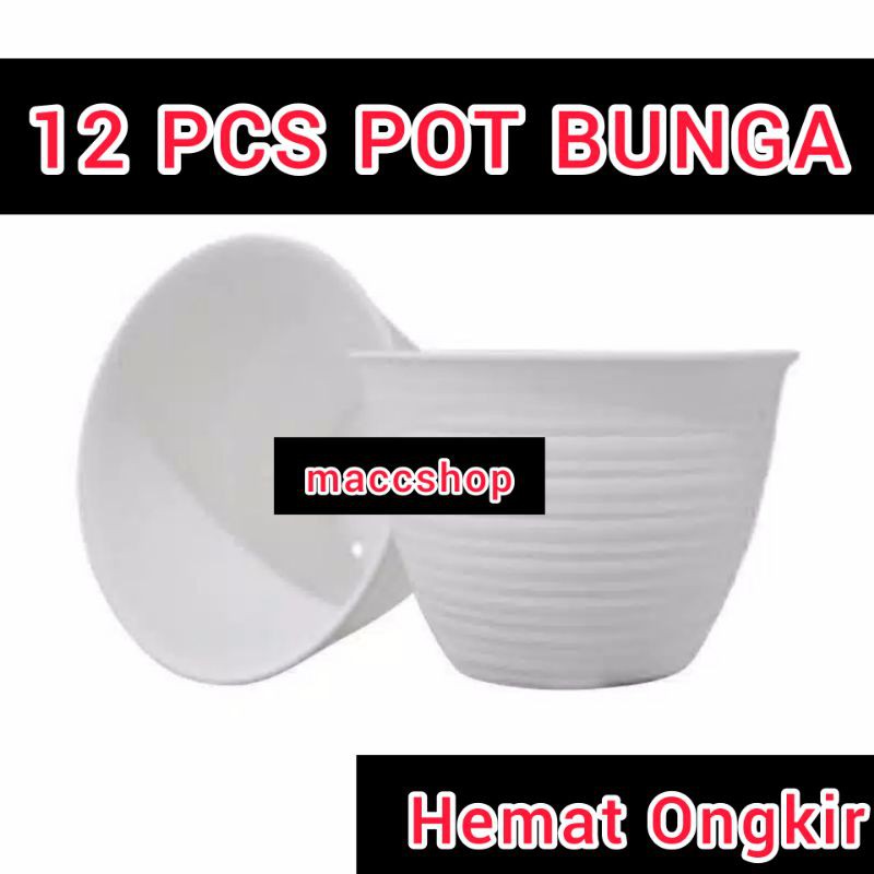 12 PCS POT BUNGA 20CM Tanaman Pirus Tawon Madu