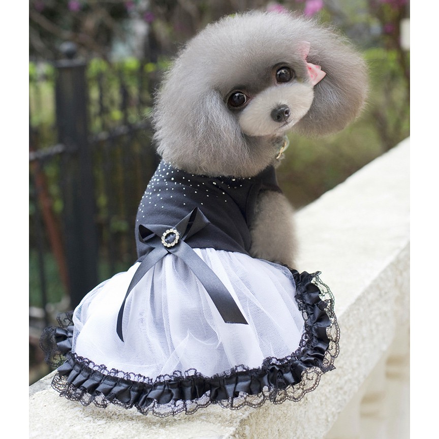 Dress Rok Gaun Pernikahan Motif Berlian Warna Hitam Untuk Anjing