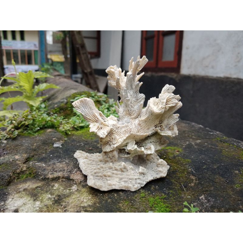 batu karang rangkai, batu karang hiasan aquarium, rumah ikan hias