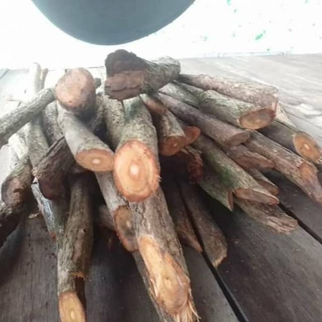 

BAJAKAH ECER BATANGAN TERMURAH Jual Per Batang Akar Bajakah Asli