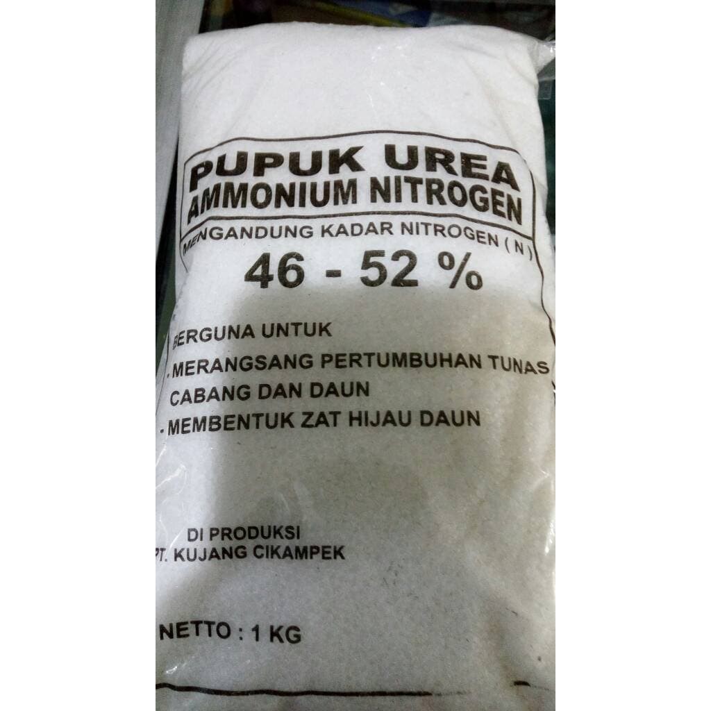 

Termurah urea putih Terlaris