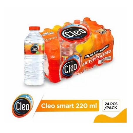 

CLEO Air Mineral 220ml / 24 Botol