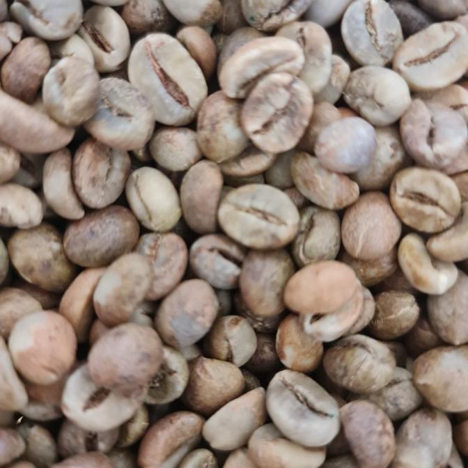 

Ready stock] Biji Kopi Lampung - Green Bean Lampung - Kopi Lampung