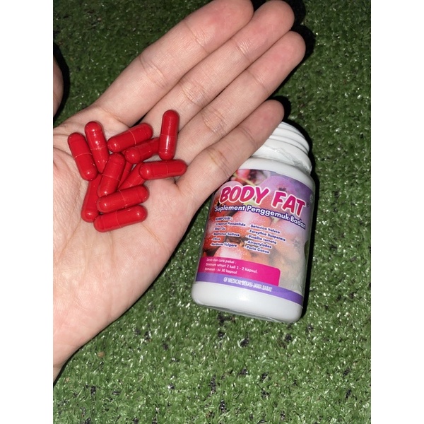 

bodyfathargaperbijiORI