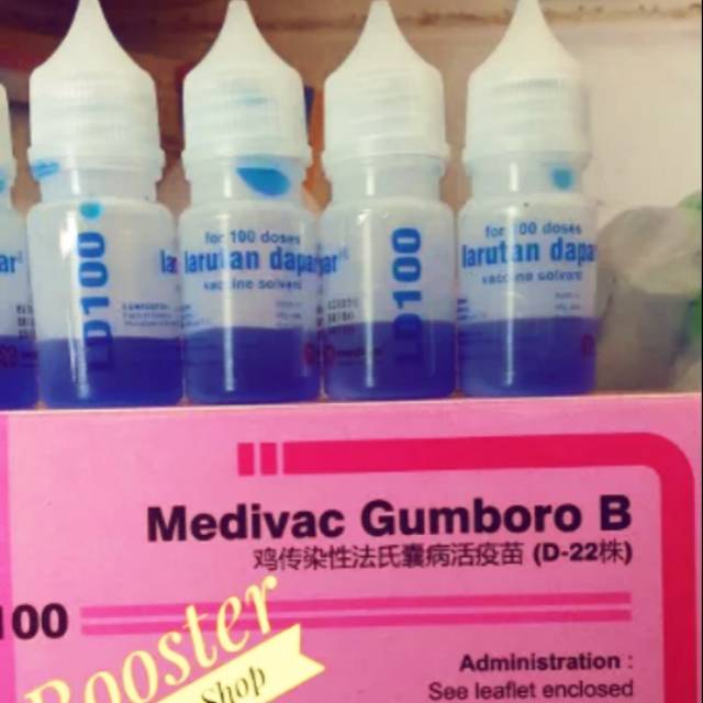 Vaksin Ayam Medivac Gumboro B untuk 100 Ekor Ayam