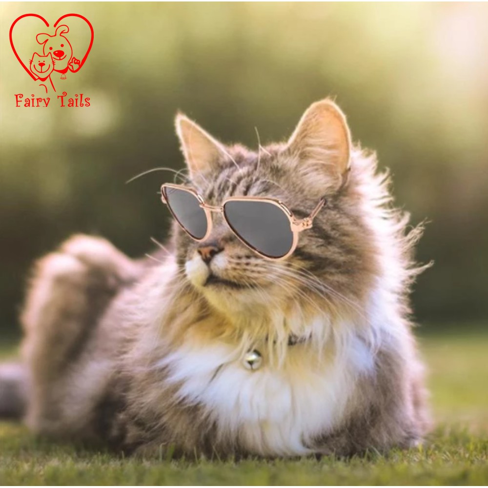 Kostum Cosplay Anjing Kucing Kacamata Gaya Heart | Pet Fashion Sunglassess Heart Triangle Shape