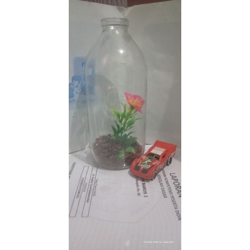botol hias cupang