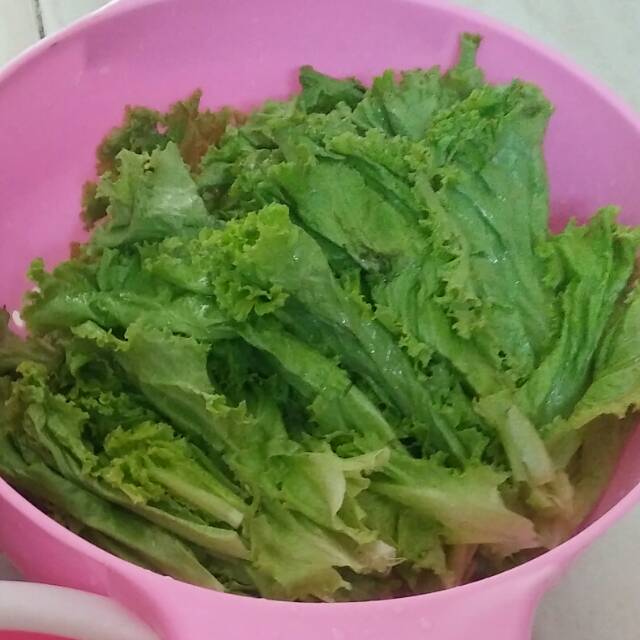 

Salada Fresh 500 Gram (G.5)