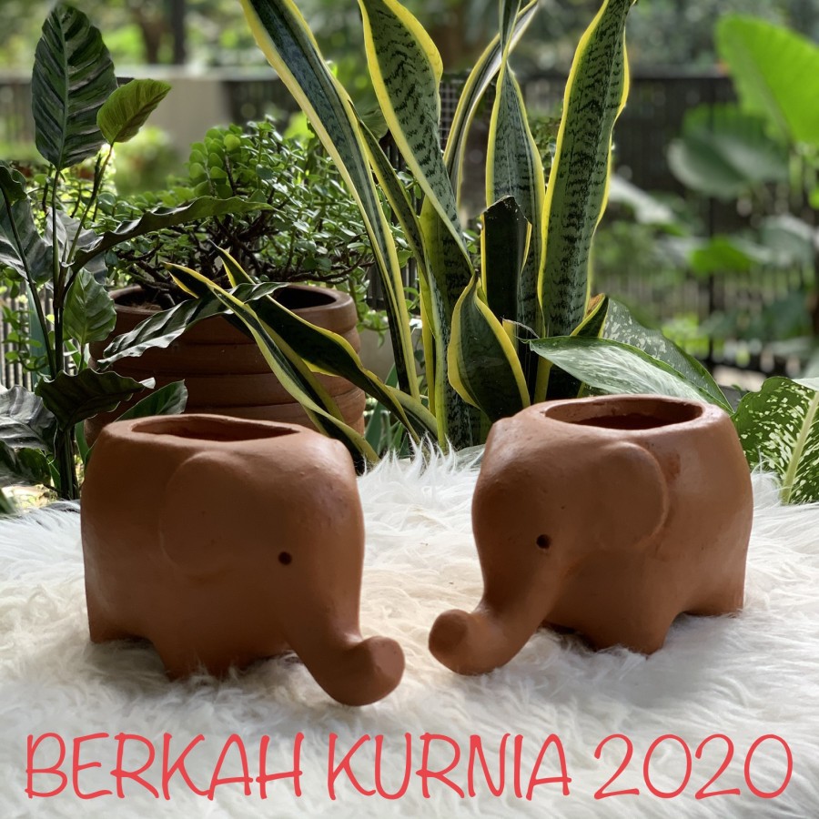 Pot Teracotta Gajah D15 Pot Tanah Liat Gajah D15 Pot Gerabah Gajah D15