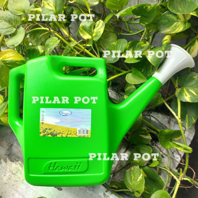 Siraman Hawaii Rosemary 5 Liter Penyiram Tanaman - SIRAMAN HAWAII 5 LITER