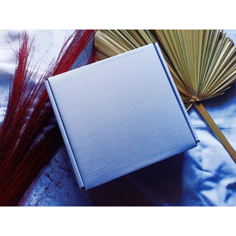 

Box packaging/pizza loyang 25