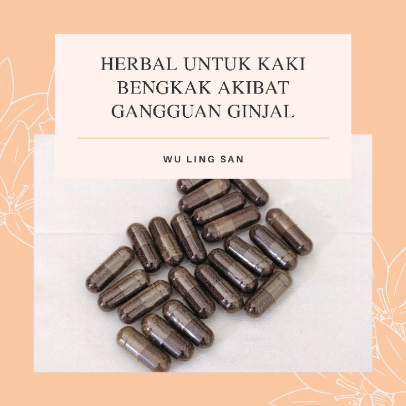 OBAT CINA UNTUK KAKI BENGKAK KARENA GANGGUAN GINJAL