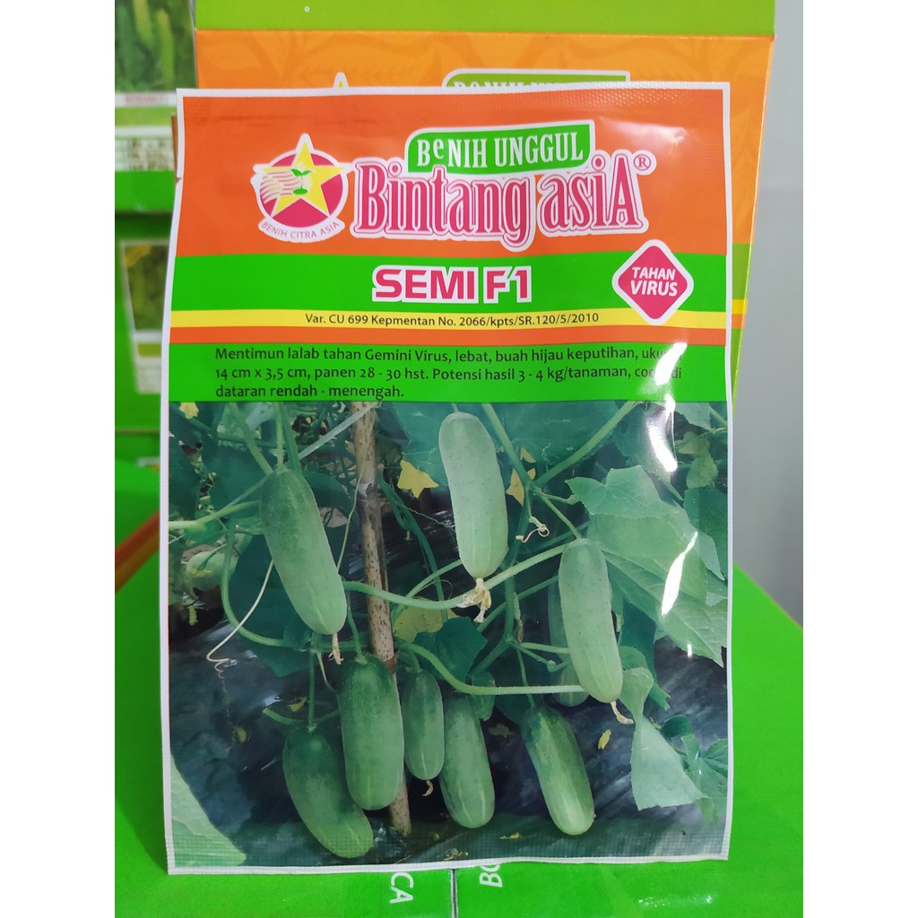 Semi F1 (Benih Mentimun Lalab) 20gr